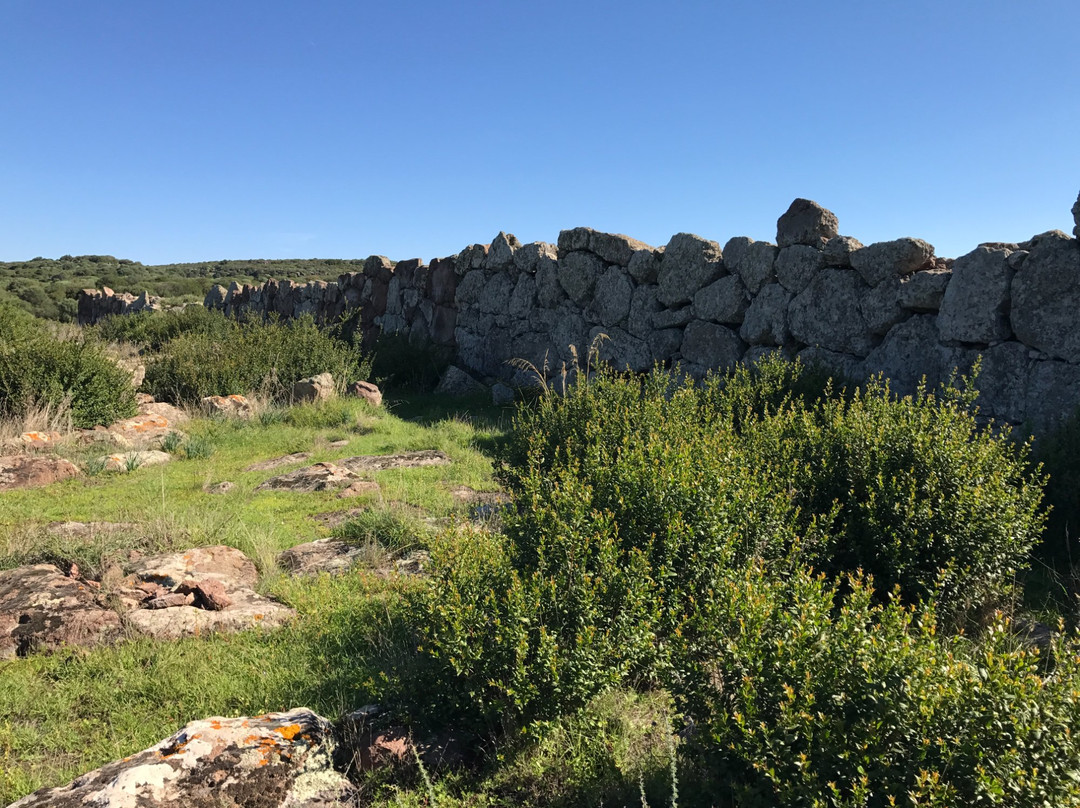 Complesso Megalitico di Monte Baranta景点图片
