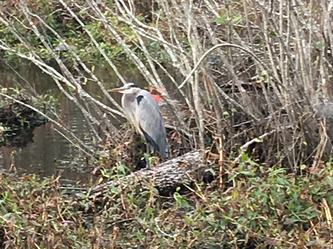 The Witch-Conway必去景点