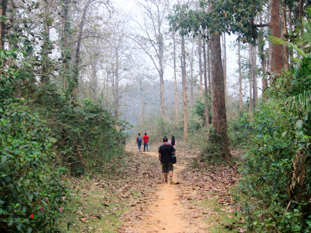 Rema-Kalenga Wildlife Sanctuary-锡尔赫特必去景点