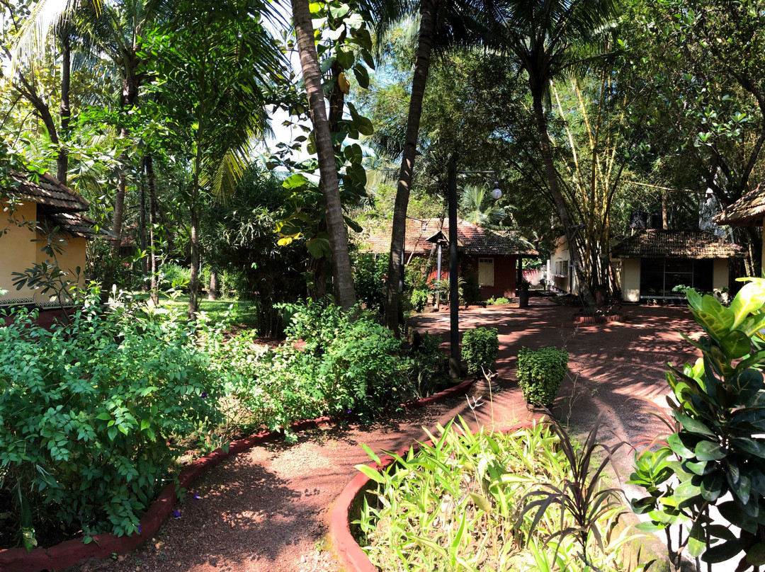 The Bohemian Masala主图