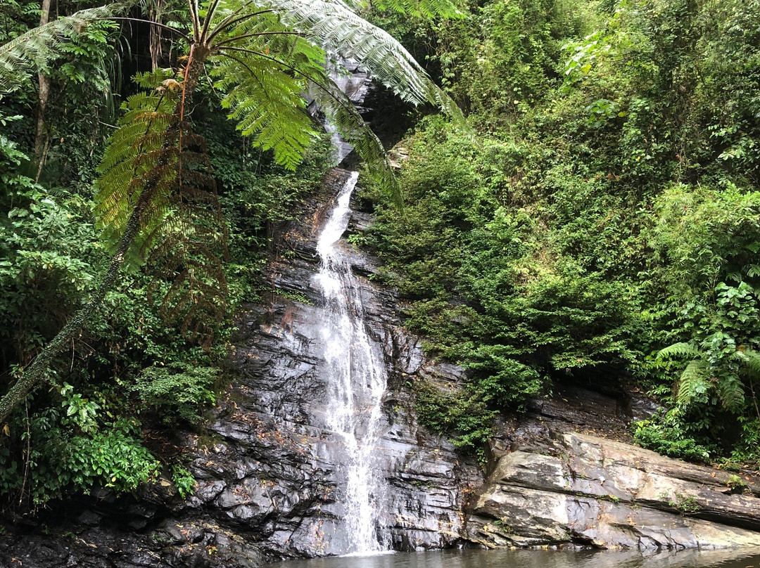 New Rizal Waterfalls景点图片