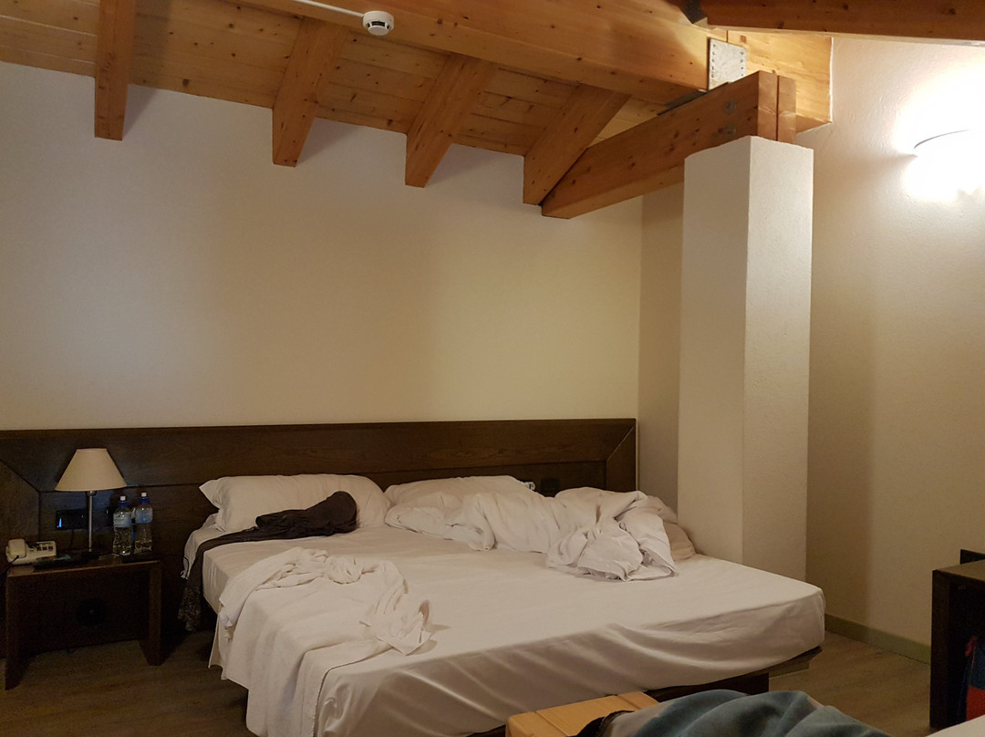 Hotel Al Ponte主图