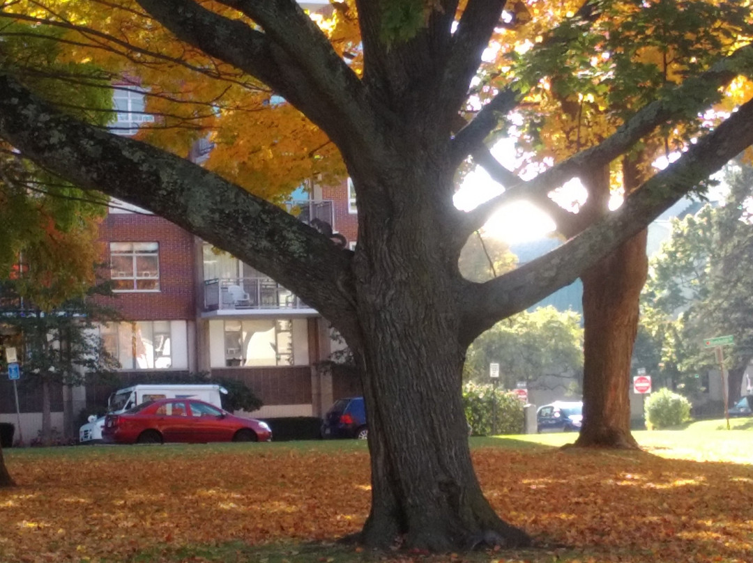 Institute Park-伍斯特必去景点