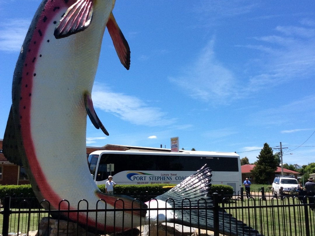 Port Stephens Coaches-安娜湾必去景点