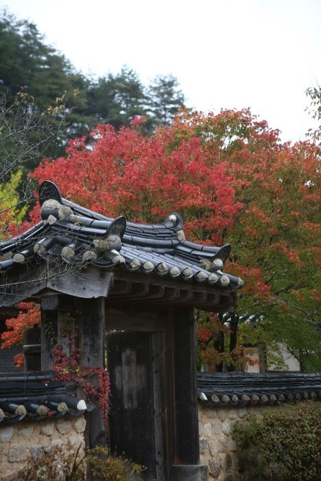 Seonbichon Village-荣州市必去景点
