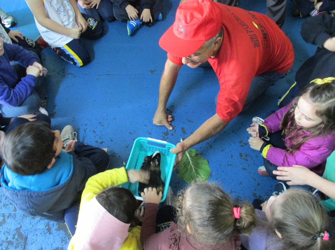 Mini Fazenda Nose-Cotia必去景点