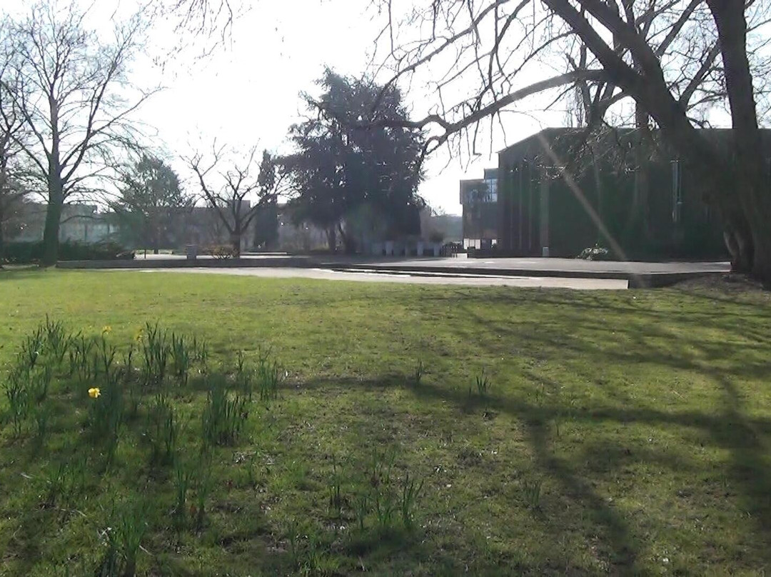 Kleinbahn im Rheinpark-科隆必去景点