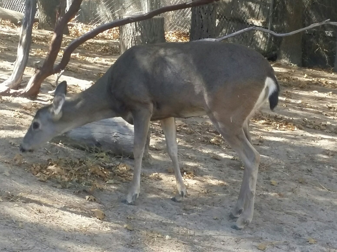 Wildhaven Ranch-箭头湖必去景点