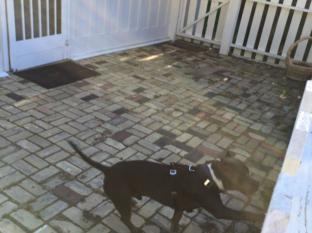 White House Inn主图