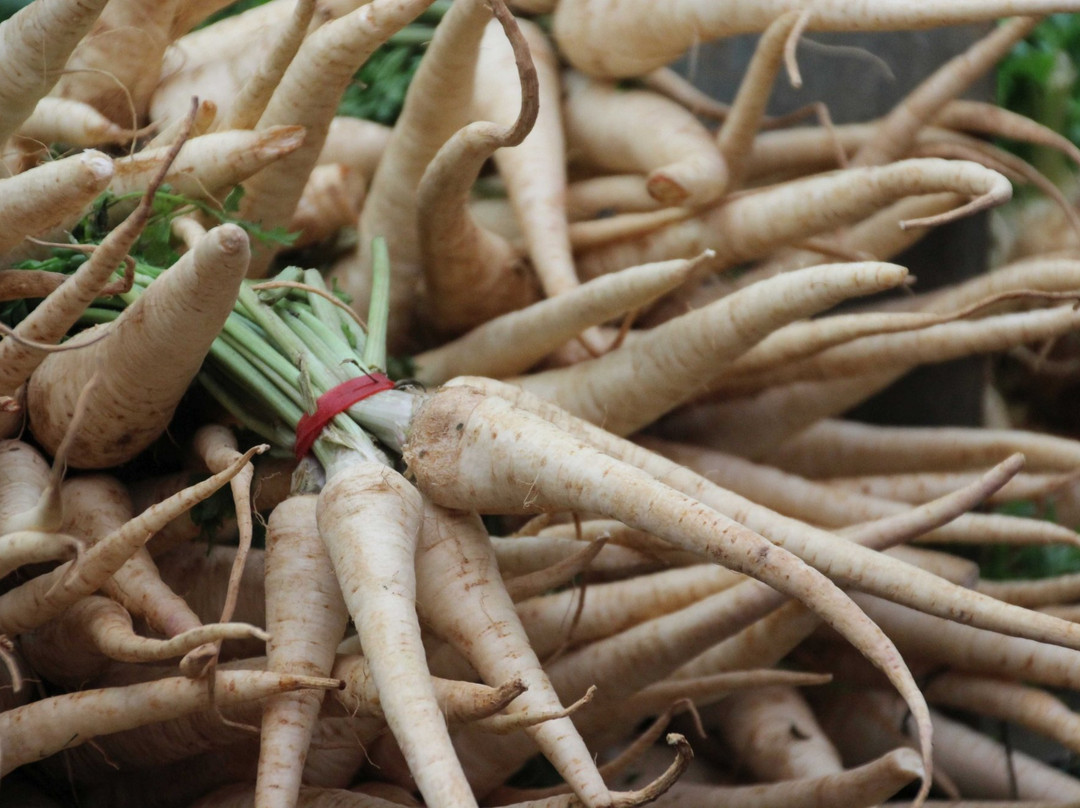 Petach Tikva Market-Petah Tiqwa必去景点