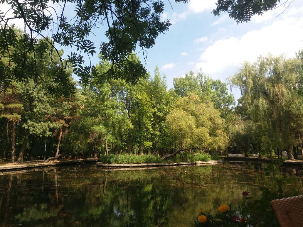 Parcul Crang景点图片