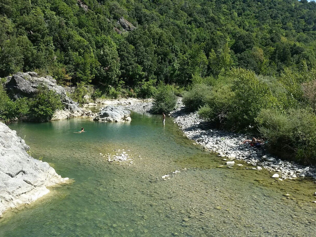 Foresta di Berignone-Pomarance必去景点