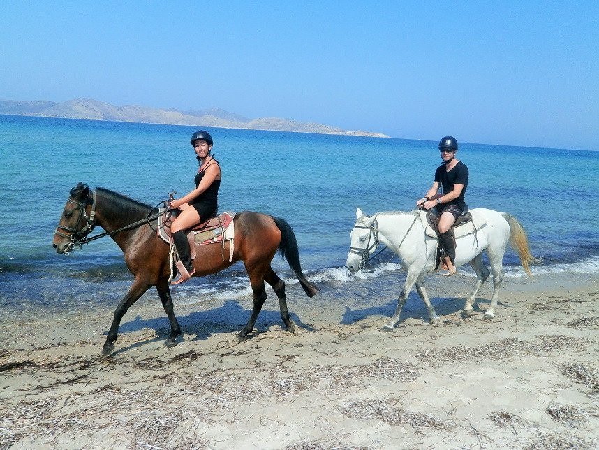 Horse Riding Family Farm-Kos Town必去景点