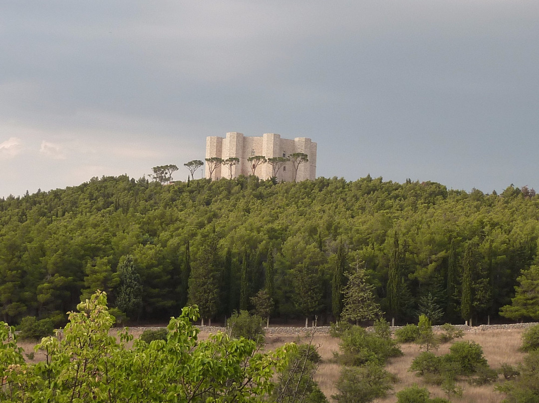 B&B Tramonto d'Oro主图