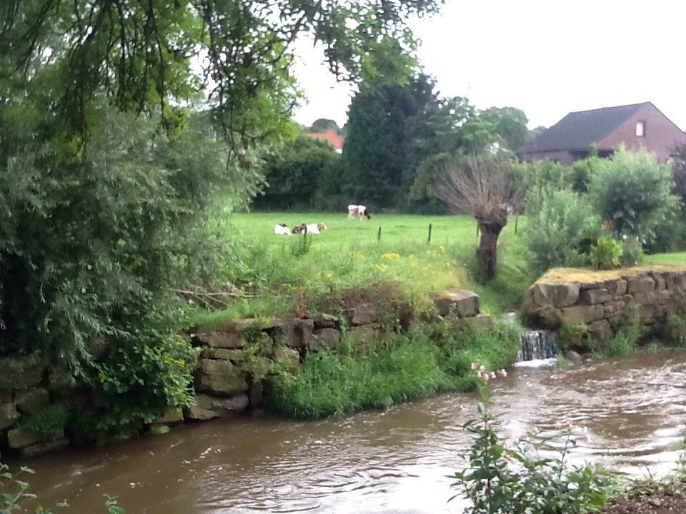 Schin op Geul酒店住宿-the SJinn