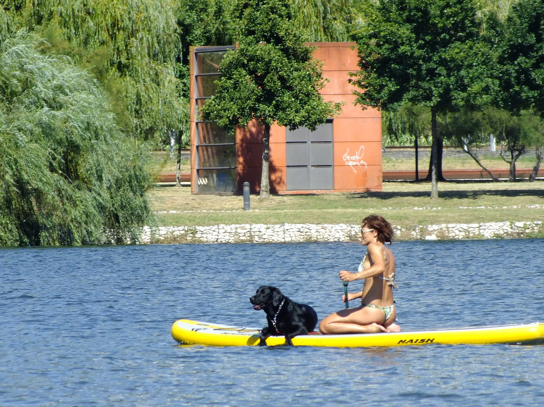 Coimbra Stand Up Paddle景点图片