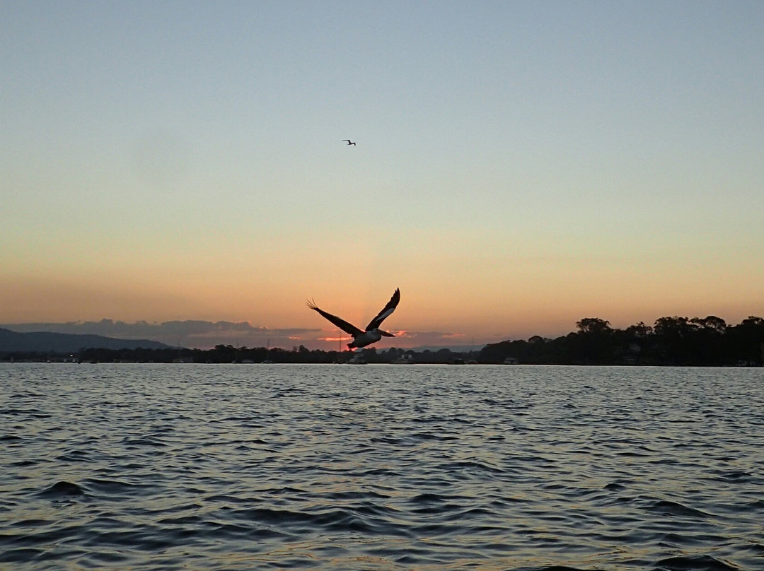 Kayak Noosa-努萨维尔必去景点