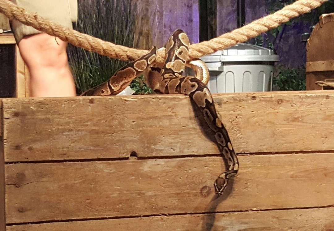 Kungsbyn Animalpark-韦斯特罗斯必去景点