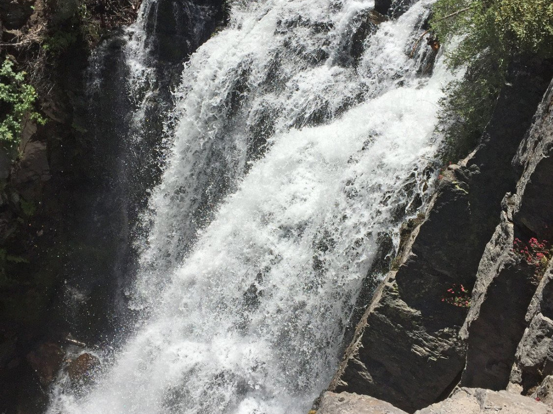 Kings Creek Falls景点图片