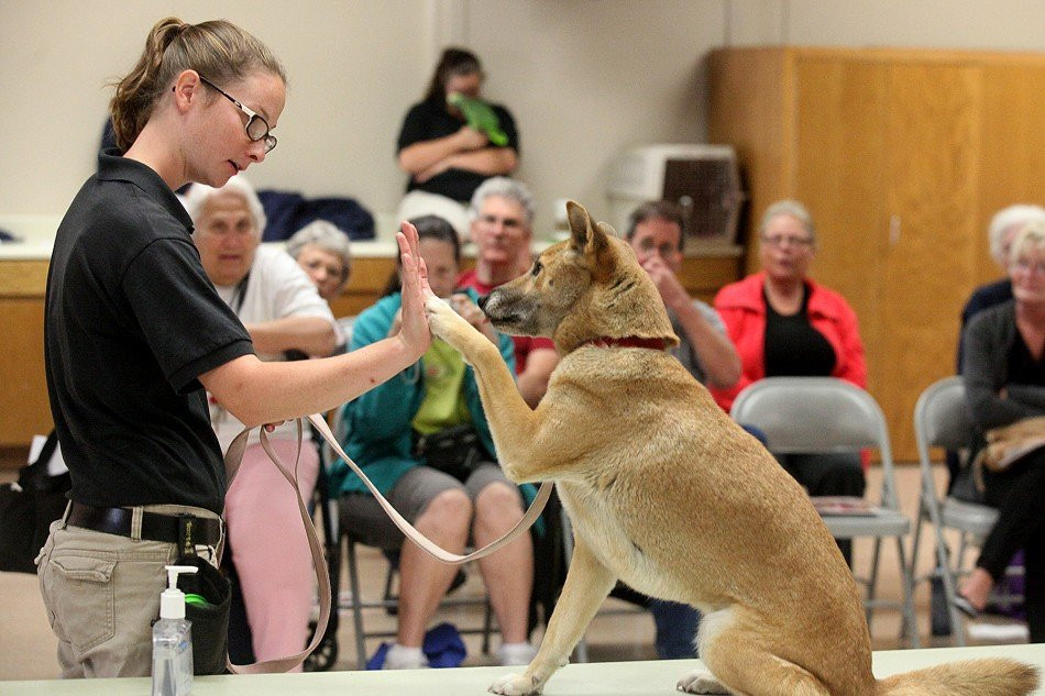 America's Teaching Zoo at Moorpark College-Moorpark必去景点