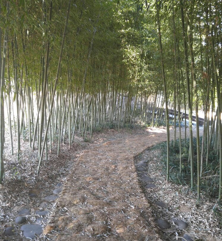 Korea Bamboo Museum-潭阳郡必去景点