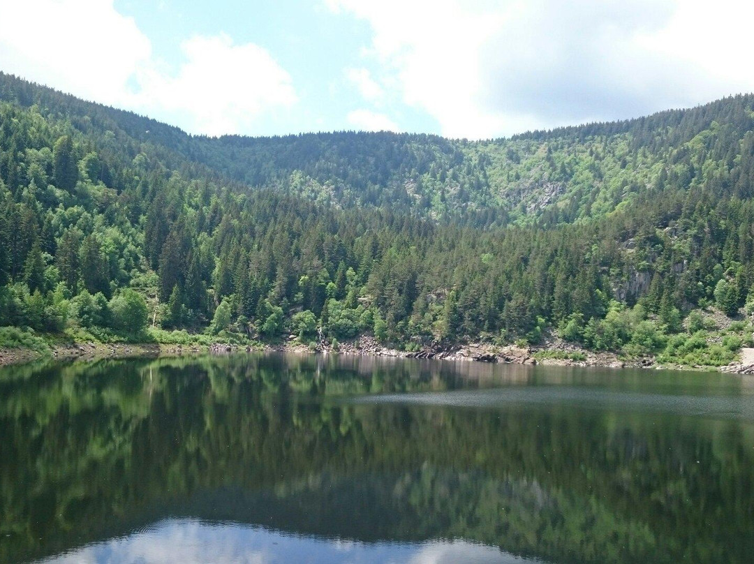 Lac Noir景点图片