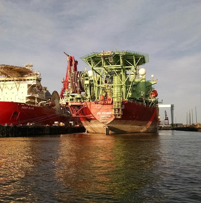 WildNative Tours-Spanish Fort必去景点