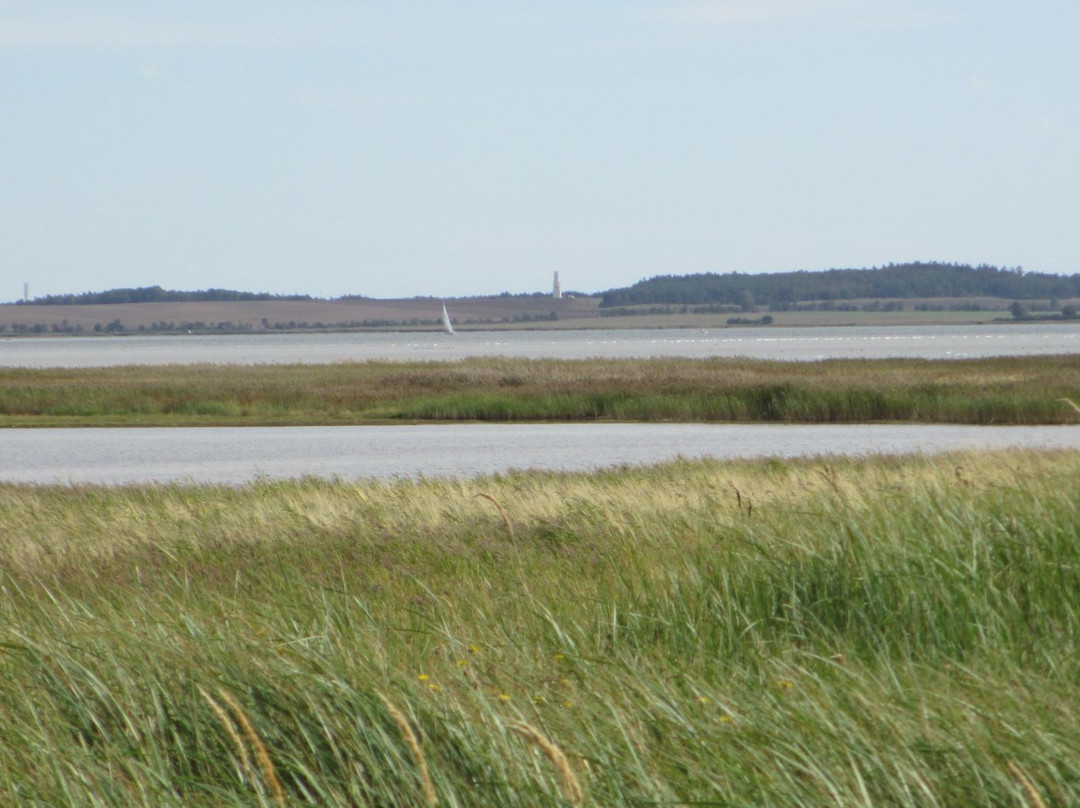 Pramort Naturschutzgebiet Kranichbeobachtungspunkt景点图片