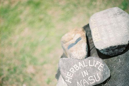 Nasu Herb Honey Garden-那须町必去景点