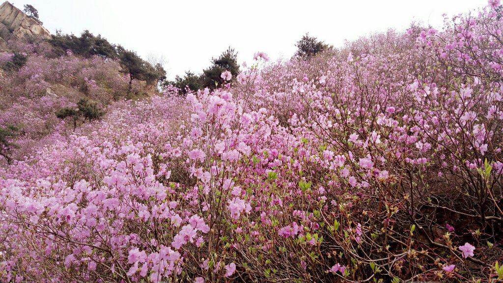 胶南大珠山-胶南市必去景点