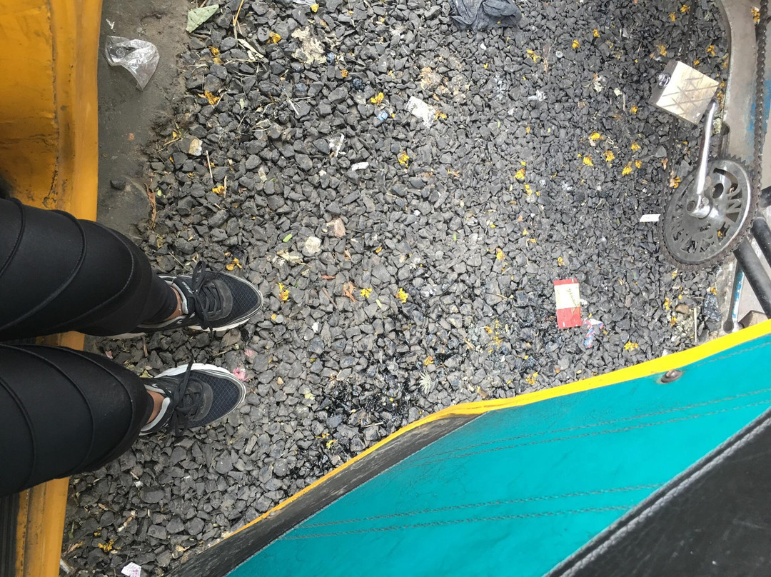 Nirmal Hirday (Pure Heart)-加尔各答（亦写作“Calcutta”）必去景点