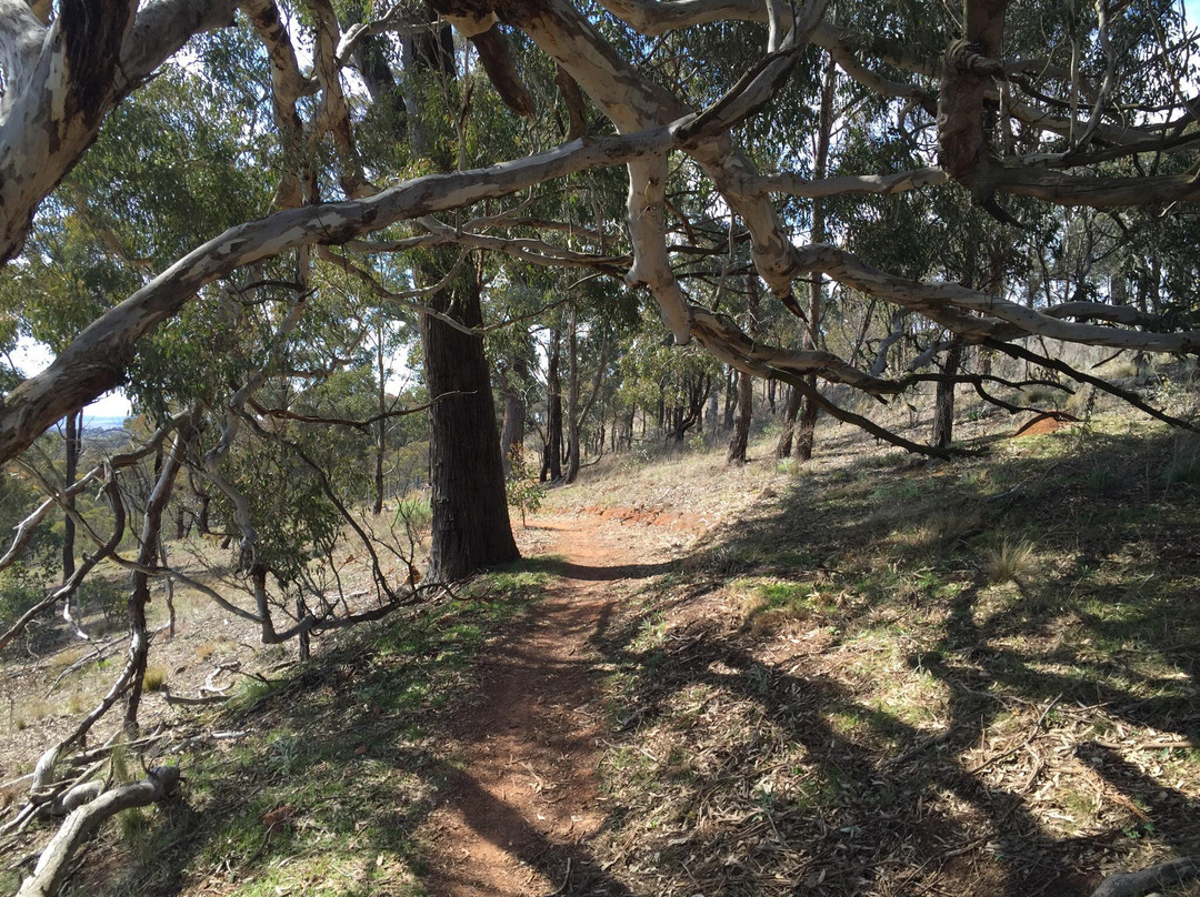Canberra Centenary Trail-Forde必去景点
