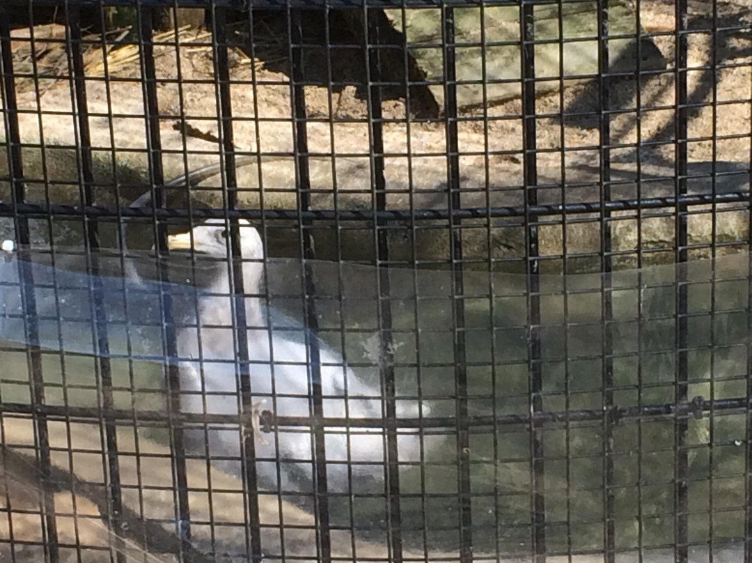 Willowbrook Wildlife Center-Glen Ellyn必去景点