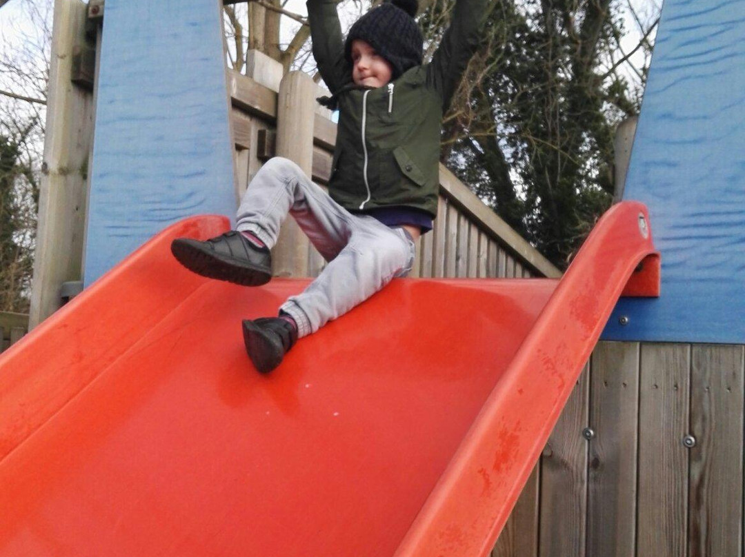 Thames Valley Adventure Playground景点图片