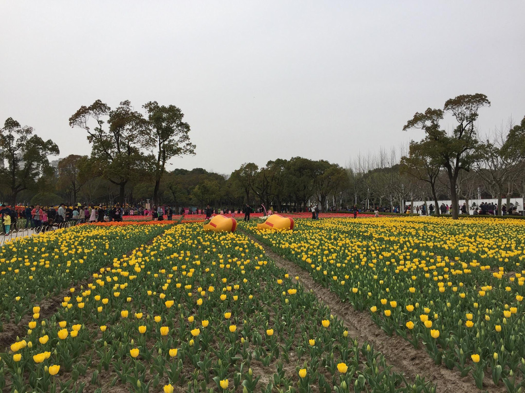 大宁灵石公园-上海市必去景点