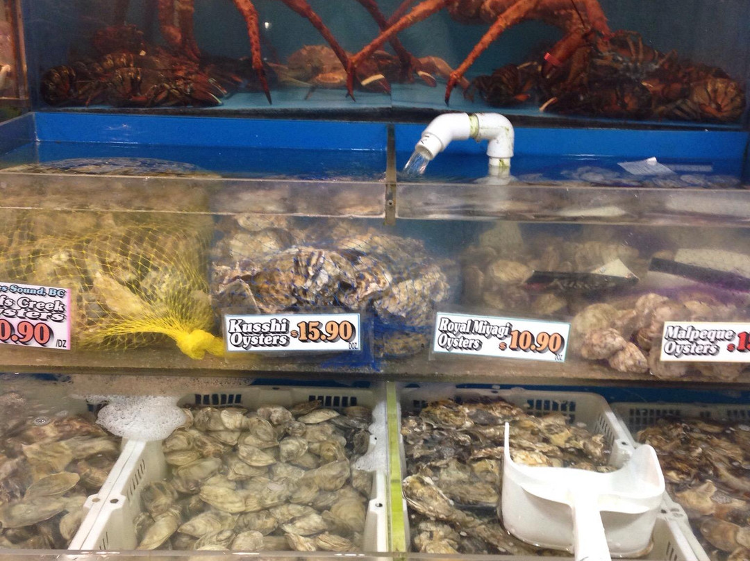 Granville Island Gallery-温哥华必去景点