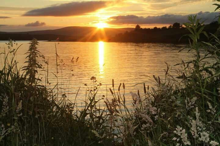 Lough Fea景点图片