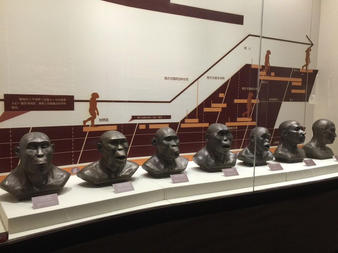 南京人化石地点-南京市必去景点