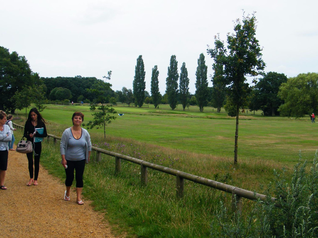 Belfairs Wood, Park and Nature Reserve景点图片