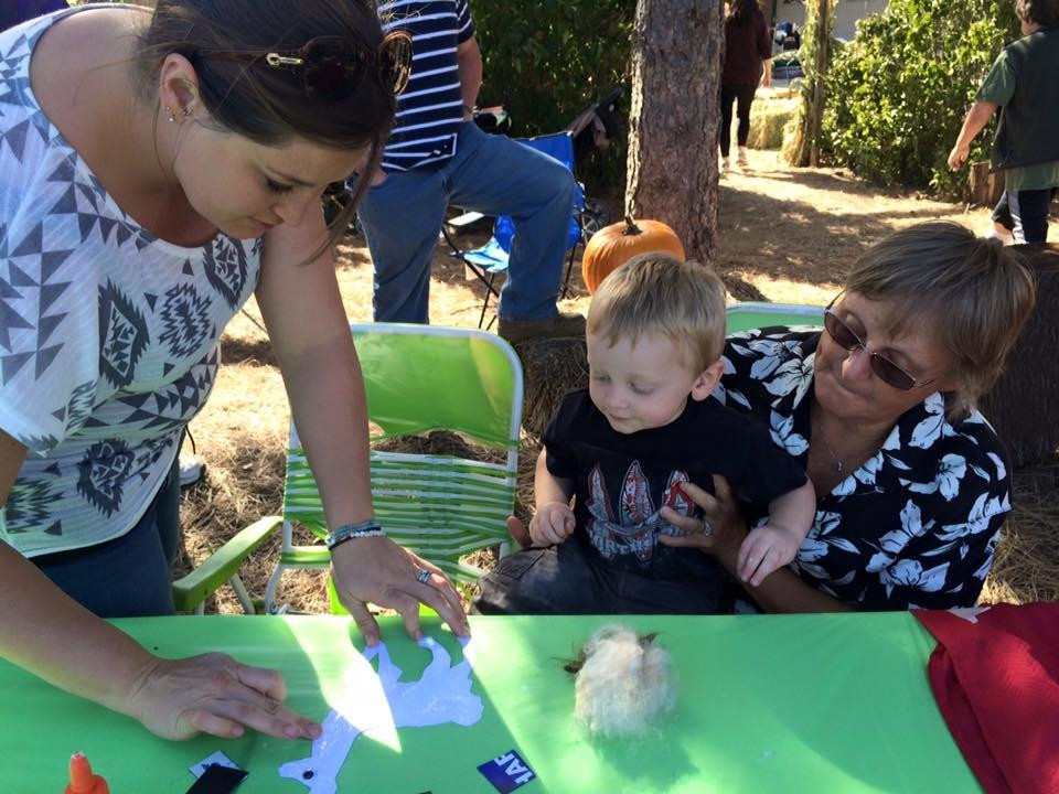 Zippity Boo Pumpkins-拉夫兰必去景点