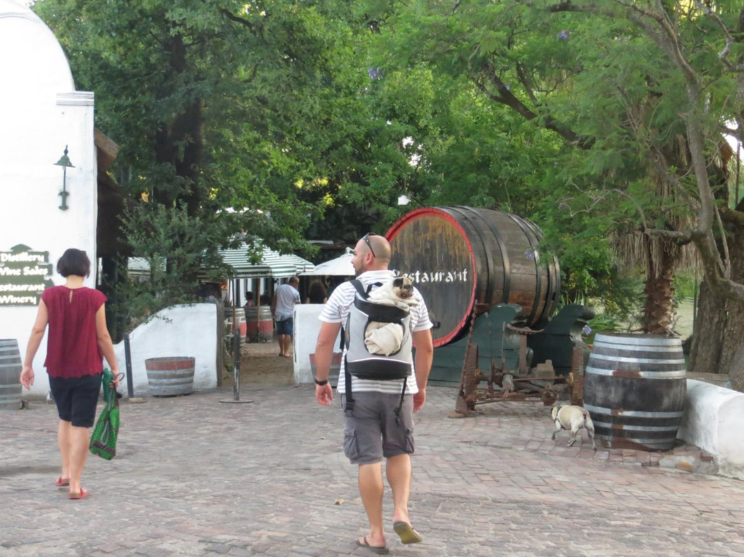 惠灵顿酒店住宿-5 Mountains Lodge