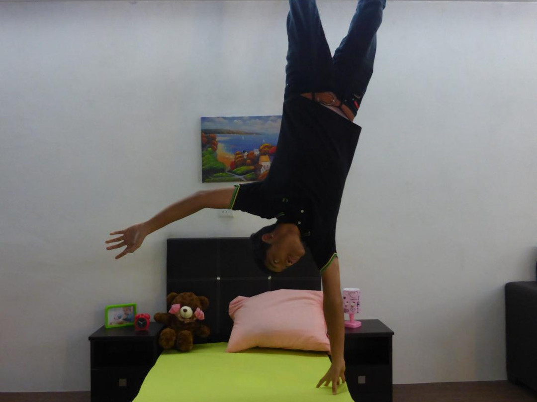 Upside Down Art Gallery-波德申必去景点