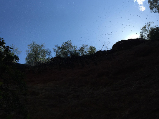 Cheshunt旅游景点-Paradise Falls