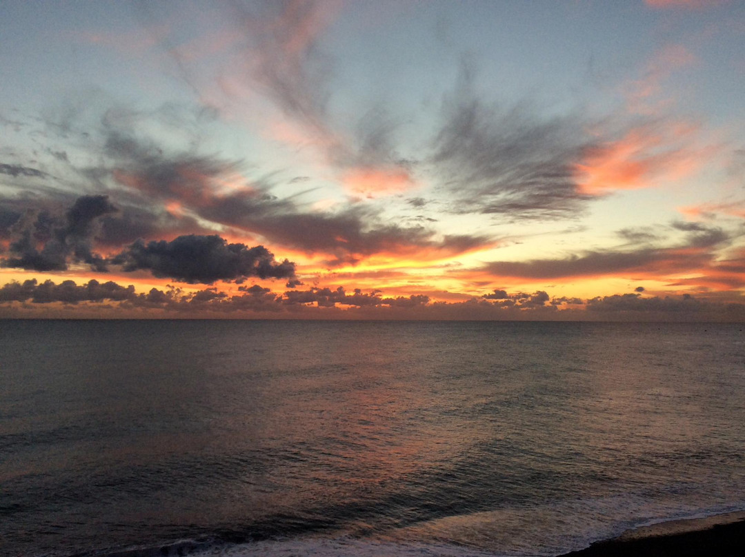 Atlantic Gardens主图