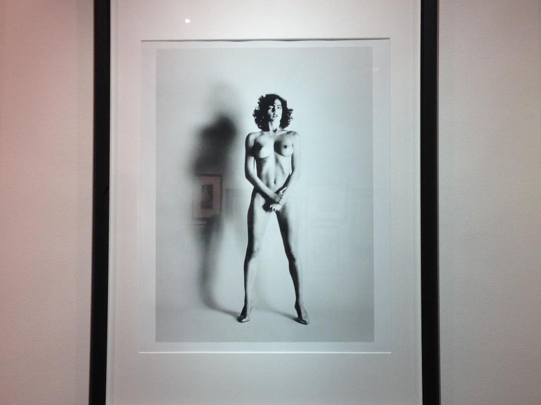 3W Gallery景点图片