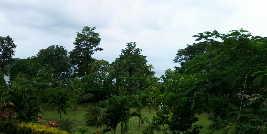 Hotel Las Ceibas主图