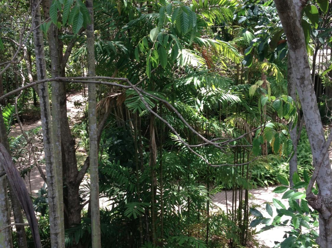 Tondoon Botanic Gardens-Gladstone必去景点