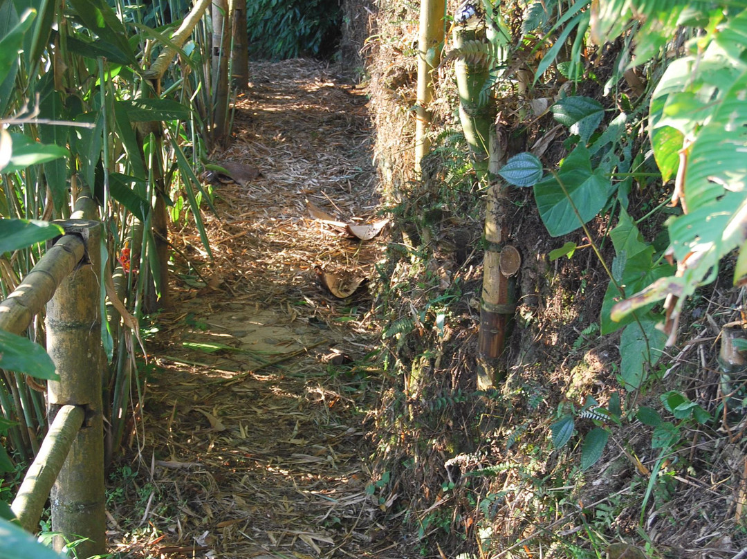 Monte Jazmin-佩雷拉必去景点