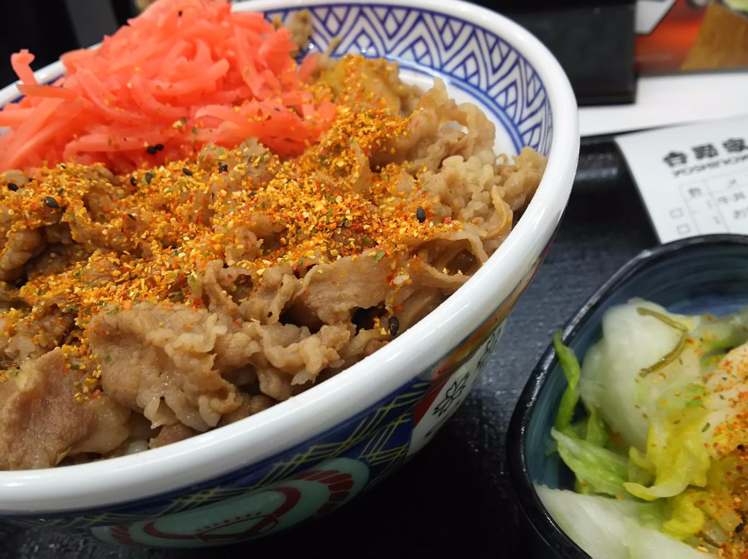 吉野家 飯能駅前店
