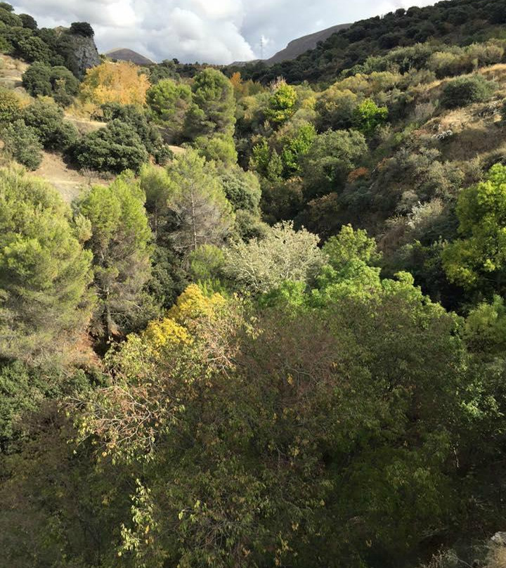 Cortijo La Argumosa主图